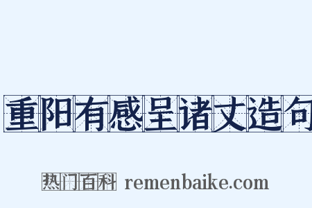 重阳有感呈诸丈造句是什么意思的图片